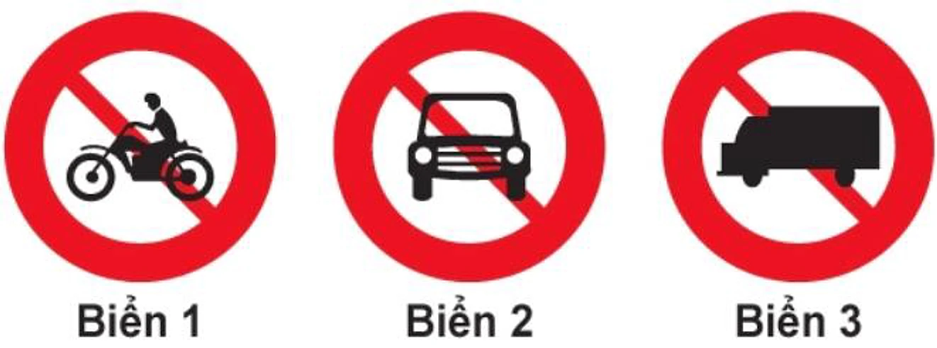 Hình câu 306