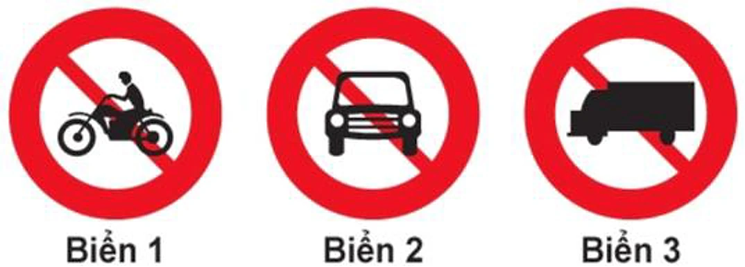 Hình câu 307