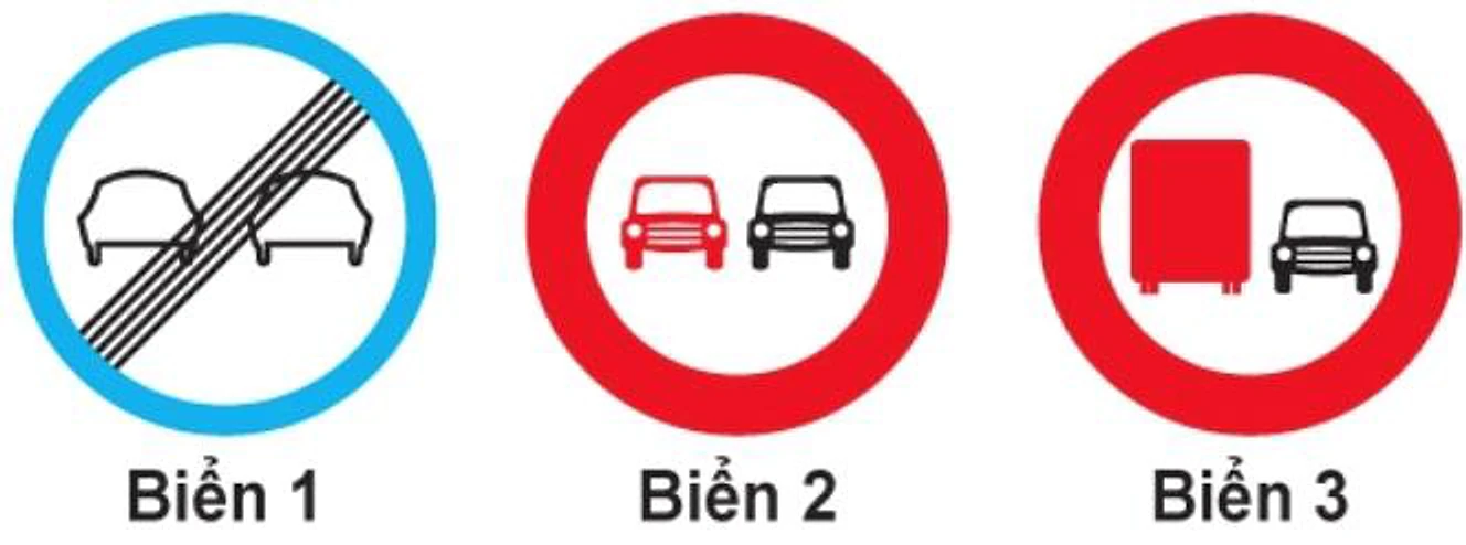 Hình câu 310