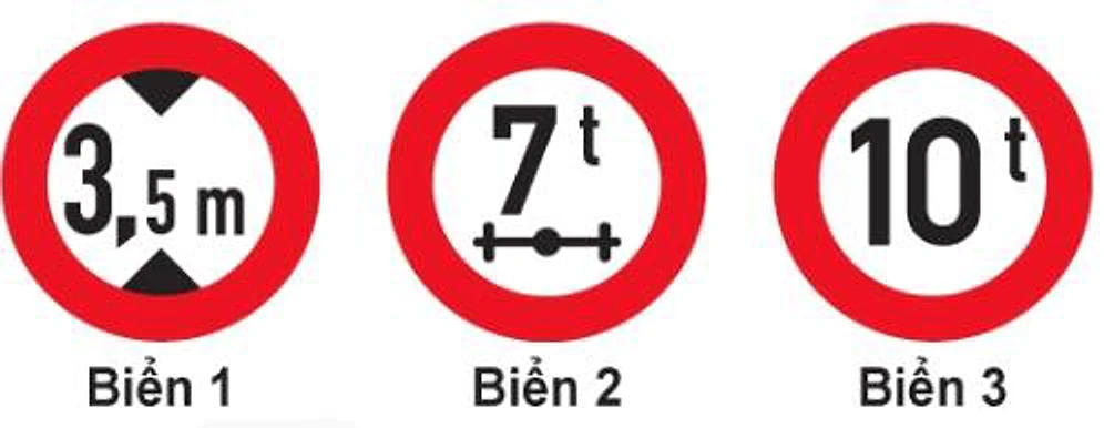 Hình câu 339
