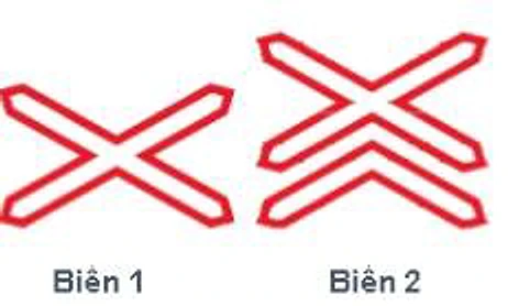 Hình câu 377