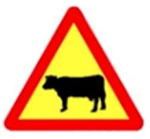 Hình câu 424
