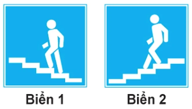 Hình câu 451